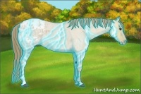 Horse Color:Thunderstruck Red Dun Ice Roan Tobiano Blanket 