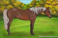 Horse Color:Silver Brown 
