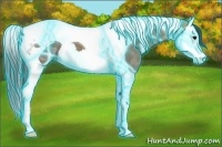 Horse Color:Thunderstruck Brown Ice Splash Tobiano 