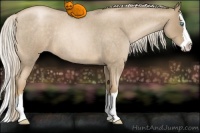 Horse Color:Chocolate Palomino Roan Pearl Splash 