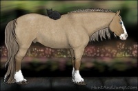 Horse Color:Chocolate Palomino Roan Dun Splash 