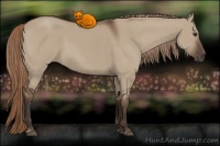 Horse Color:Liver Red Dun