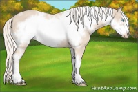 Horse Color:White Spotted Cremello Frame 