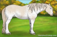 Horse Color:White Spotted Smoky Creme 
