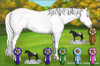 Horse Color:Palomino Pearl Dun Sabino Appaloosa Rabicano