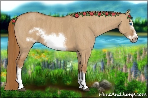 Horse Color:Red Dun Splash Frame Brindle