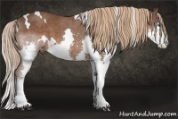 Horse Color:White Spotted Liver Chestnut Splash 