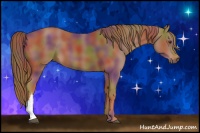 Horse Color:Nacre Chestnut 