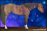 Horse Color:Nacre Bay 