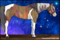 Horse Color:Nacre Bay Splash Tobiano 
