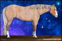 Horse Color:Nacre Silver Bay Roan Splash