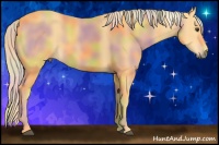 Horse Color:Nacre Palomino 