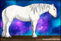 Horse Color:Palomino Roan Tobiano Blanket 