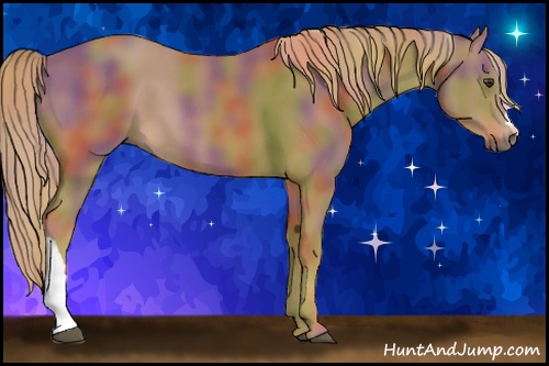 Horse Color: Nacre Chestnut 