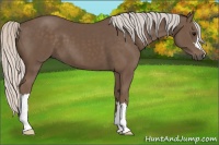 Horse Color:Silver Black 