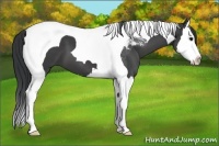Horse Color:Black Splash Tobiano 