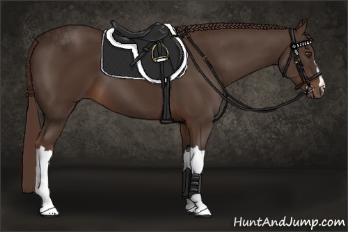 Horse Color: Liver Chestnut 