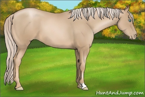 Horse Color: Chocolate Palomino Pearl 