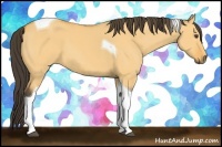 Horse Color:Buckskin Dun Tobiano 