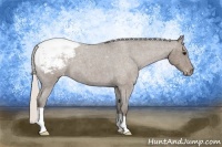 Horse Color:Silver Blue Roan Snowcap 