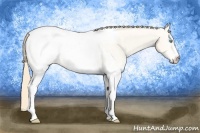 Horse Color:White Spotted Perlino Dun Snowcap 