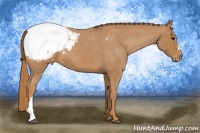 Horse Color:Red Roan Snowcap 