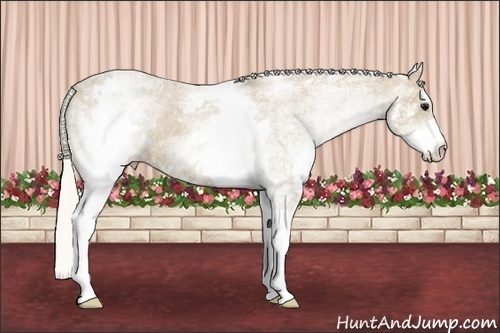 Horse Color: White Spotted Silver Smoky Black Varnish 