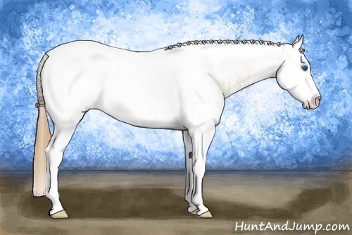 Horse Color: Chestnut Ice Splash Tobiano Frame Varnish 