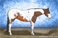 Horse Color:Bay Sabino Tobiano Snowcap 