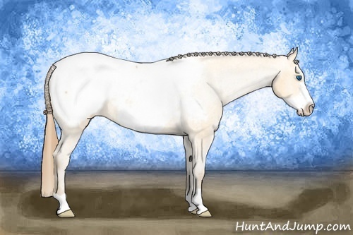Horse Color: Amber Cream Champagne Frame Snowcap 