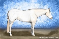 Horse Color:Amber Cream Champagne Frame Snowcap 