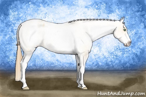 Horse Color: White Spotted Amber Cream Champagne Varnish 