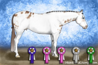 Horse Color:Bay Dun Splash Frame Appaloosa 