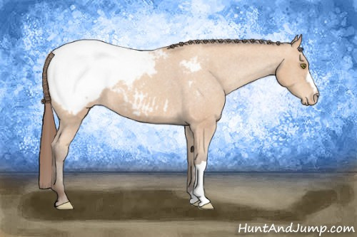Horse Color: Amber Champagne Snowcap 
