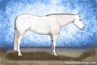 Horse Color:Sable Cream Champagne Splash Snowcap 