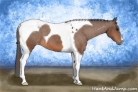 Horse Color:Bay Tobiano Varnish 