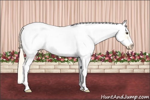 Horse Color: White Spotted Palomino Roan Dun Frame Varnish 