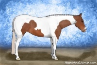 Horse Color:Silver Brown Tobiano Snowcap 