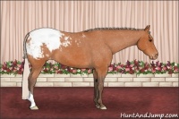Horse Color:Silver Bay Snowcap 