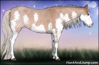 Horse Color:Silver Brown Roan Splash 