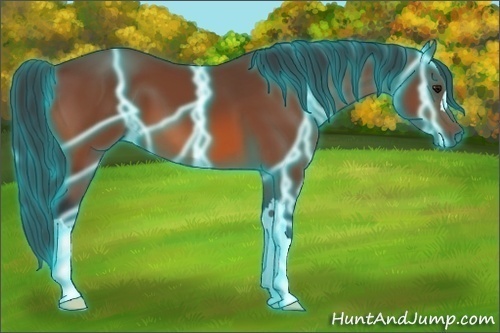 Horse Color: Thunderstruck Bay 