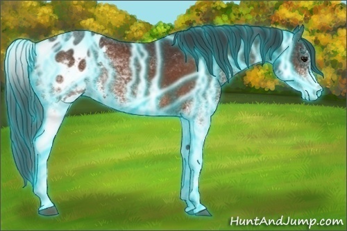 Horse Color: Thunderstruck White Spotted Bay Blanket 