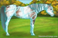 Horse Color:Thunderstruck White Spotted Buckskin Appaloosa 
