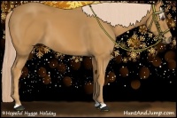 Horse Color:Palomino 