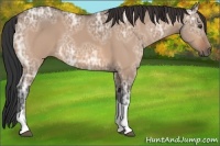 Horse Color:Brown Ice Dun Tobiano 