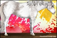 Horse Color:White Spotted Silver Black Varnish 