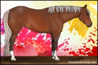 Horse Color:Silver Bay 