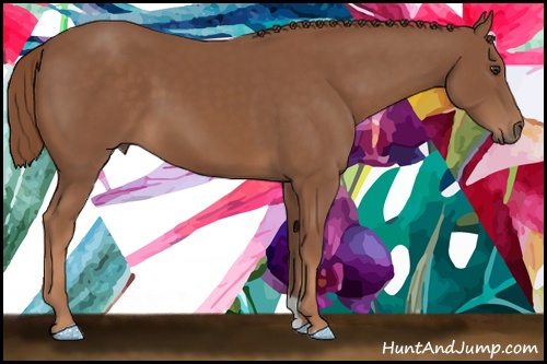 Horse Color: Chestnut 