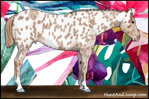 Horse Color: Red Roan Near Leopard 
