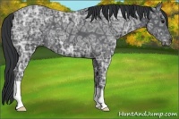 Horse Color:Black Ice 